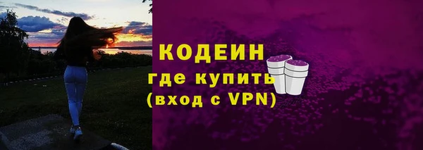 прущие крисы Горняк