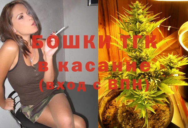 прущие крисы Горняк