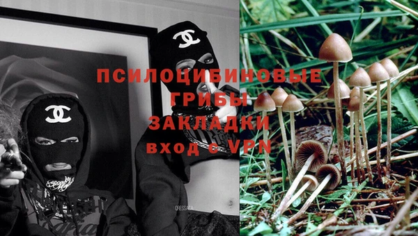 прущие крисы Горняк